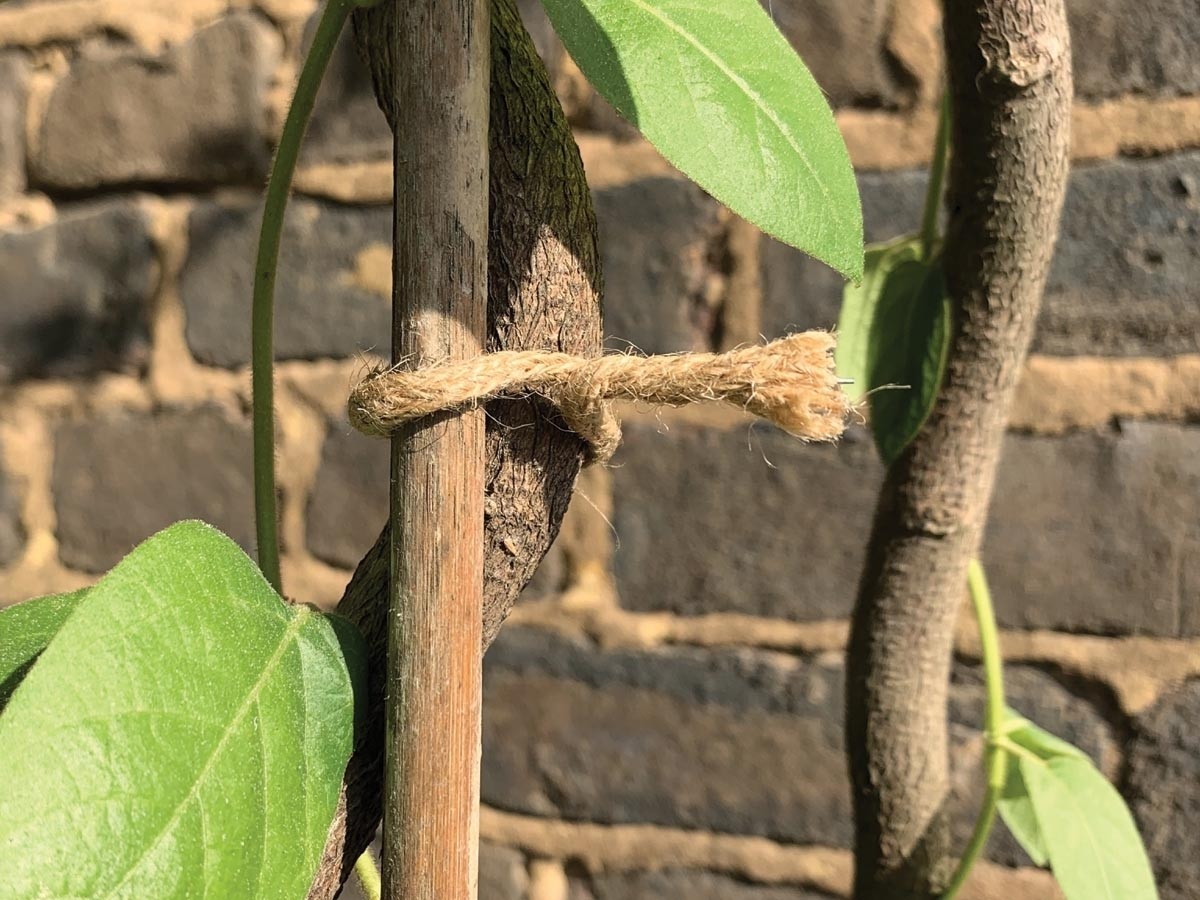Lien torsadé jute naturel 5m