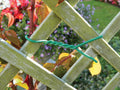 Lien torsadé 5mm centre métallique 5m