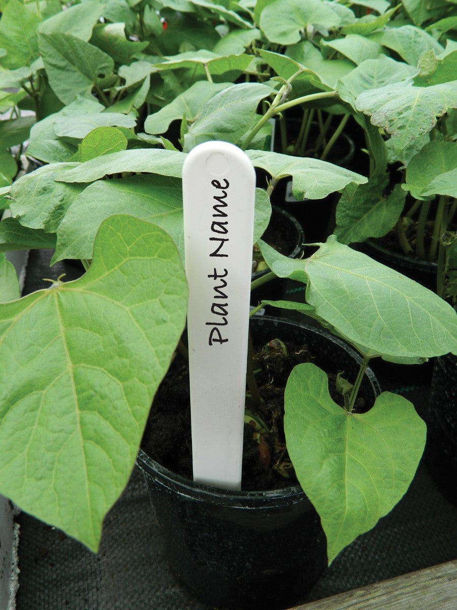 Étiquettes blanches pour plantes 15cm lot de 25