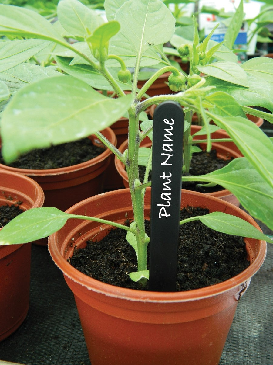 Étiquettes pour plantes noires 10cm lot de 25