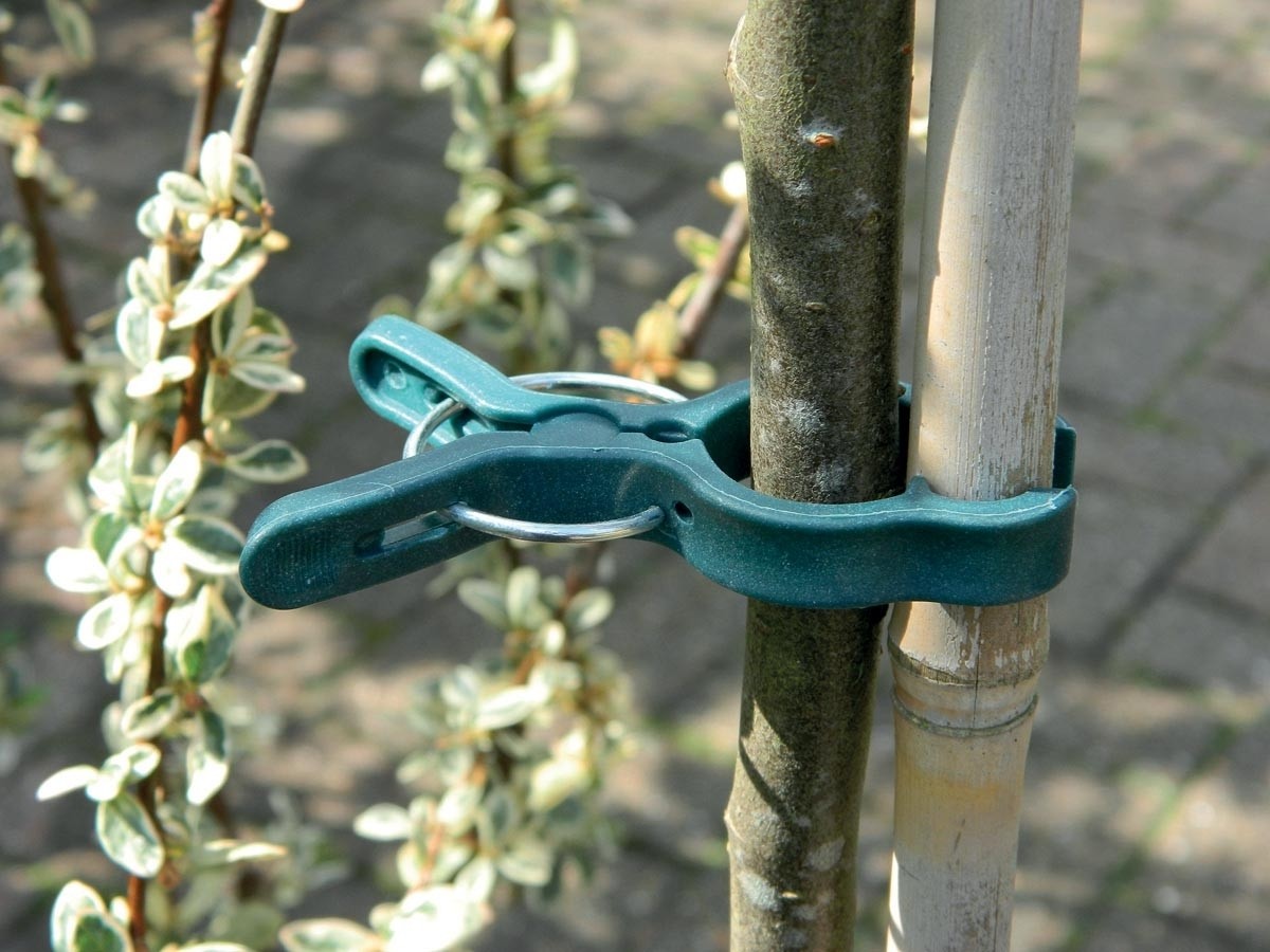 Grandes pinces à plantes lot de 5