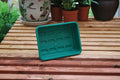 Mini Jardin Plateau Vert Sans Trous