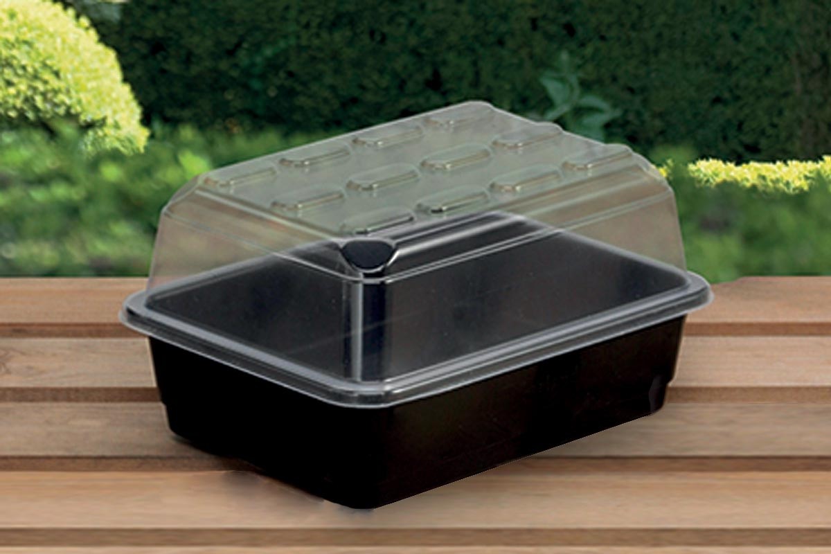 Serre propagateur petit budget avec trous