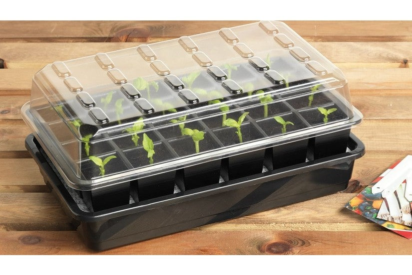 Kit de graines à arrosage automatique à 24 cellules + 24 Granulés