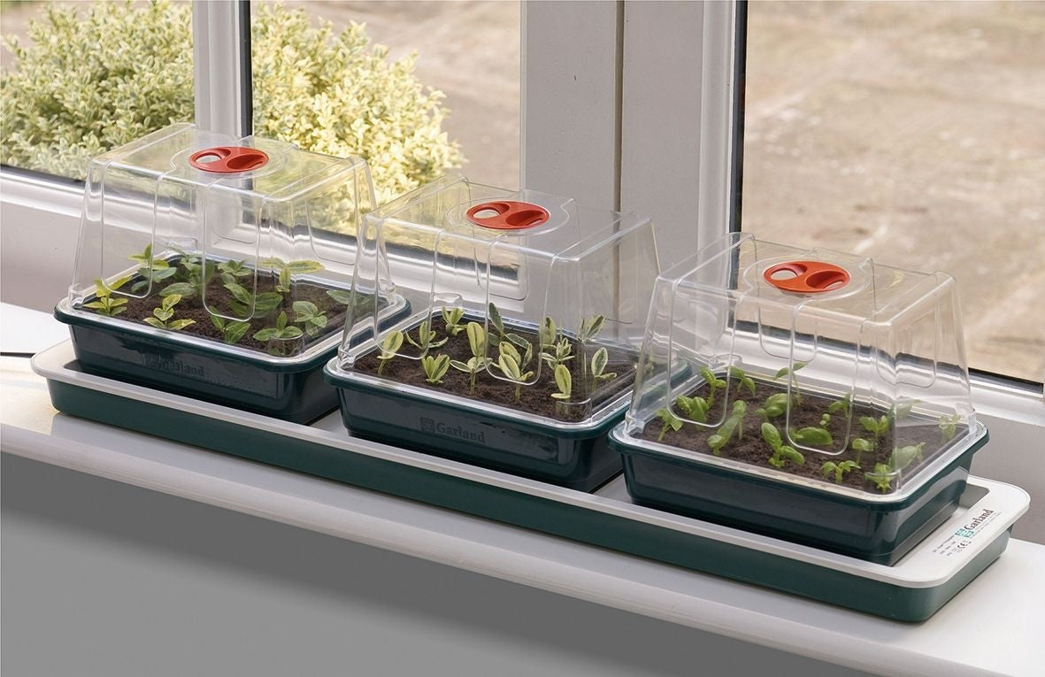 Propagateur de rebord de fenêtre électrique Trio Top