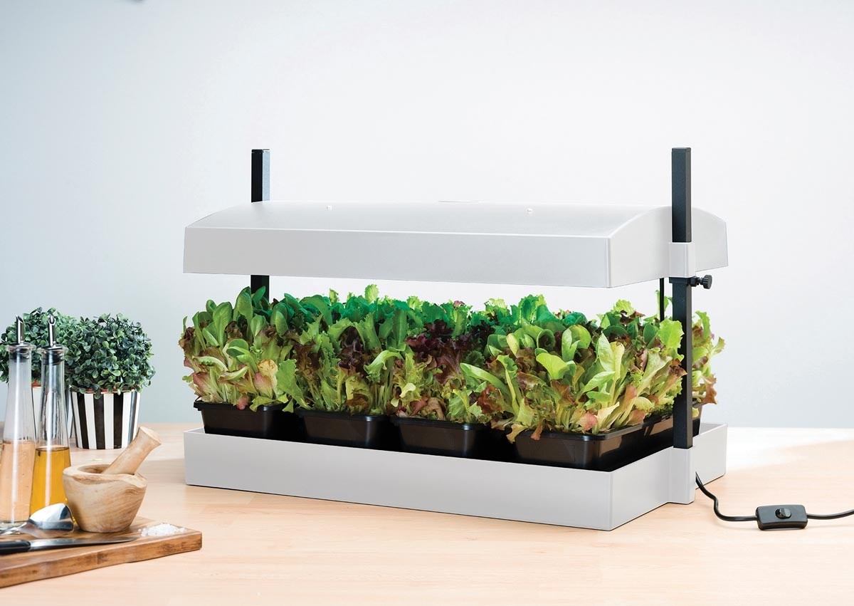 Lampe de culture Grow Light Jardin Blanc