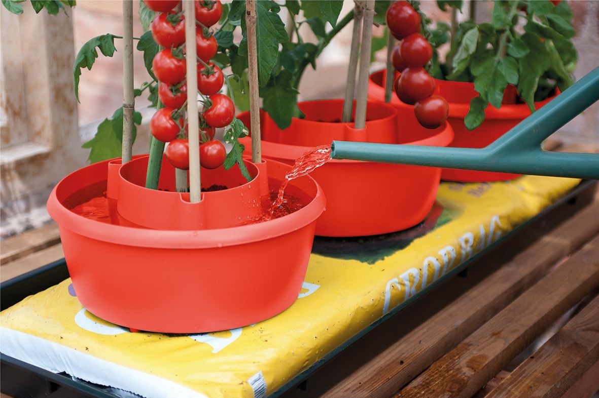 Halos de plantes (lot de 3) rouge