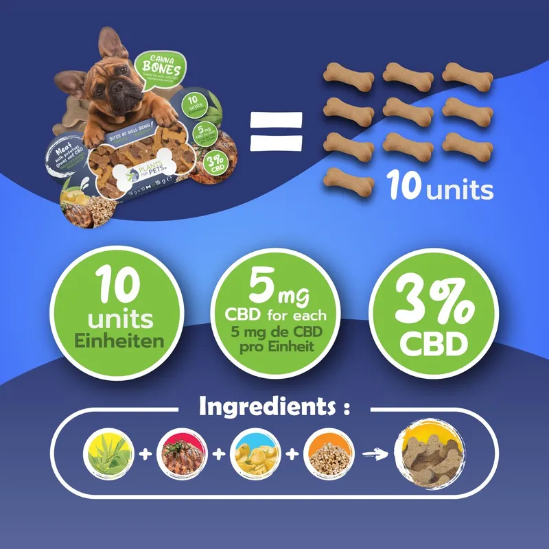Friandise au CBD chien | PLANTS FOR PETS