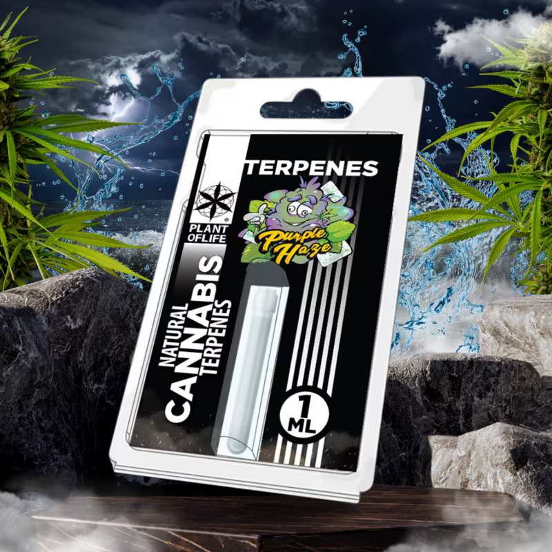 Terpène Purple Haze | PLANT OF LIFE